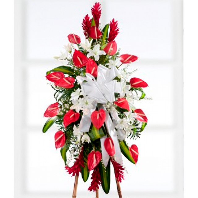 Lágrima arreglo floral de anturios rojos y flores blancas - Sofiflor