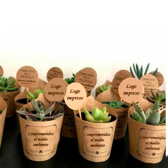 PLANTAS PARA REGALOS CORPORATIVOS: Plantas personalizadas